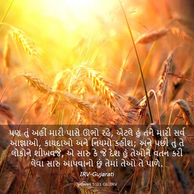 Picture 03 - પુનર્નિયમ 5:31 GUJIRV - પણ તું અહીં મારી - Bible Verse Picture