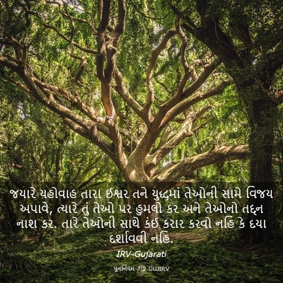 Picture 03 - પુનર્નિયમ 7:2 GUJIRV - જયારે યહોવાહ તારા - Bible Verse Picture