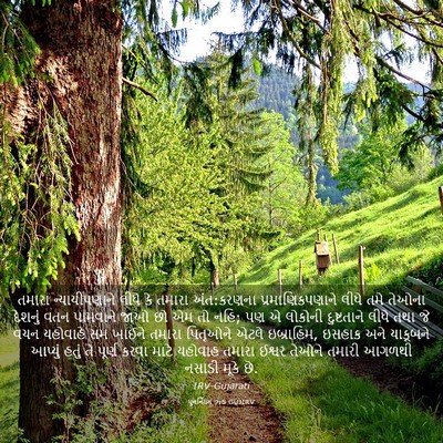 Picture 03 - પુનર્નિયમ 9:5 GUJIRV - તમારા ન્યાયીપણાને - Bible Verse Picture