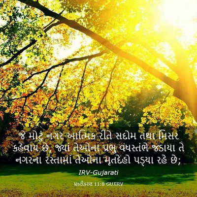 Picture 03 - પ્રકટીકરણ 11:8 GUJIRV - જે મોટું નગર - Bible Verse Picture