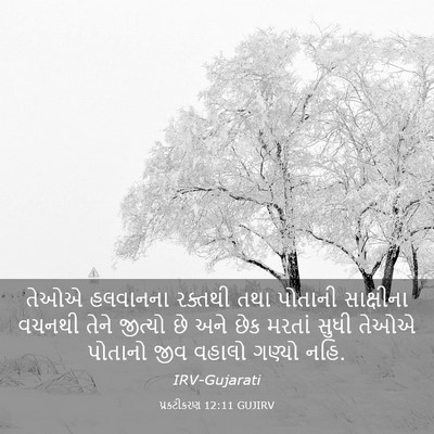 Picture 03 - પ્રકટીકરણ 12:11 GUJIRV - તેઓએ હલવાનના - Bible Verse Picture