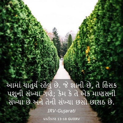 Picture 03 - પ્રકટીકરણ 13:18 GUJIRV - આમાં ચાતુર્ય - Bible Verse Picture