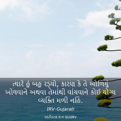 Picture 03 - પ્રકટીકરણ 5:4 GUJIRV - ત્યારે હું બહુ - Bible Verse Picture