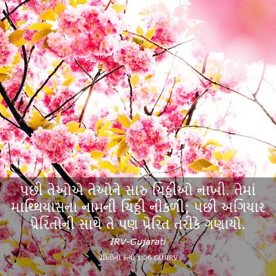 Picture 03 - પ્રેરિતોનાં ક્રત્યો 1:26 GUJIRV - પછી તેઓએ તેઓને - Bible Verse Picture