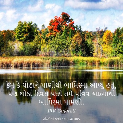 Picture 03 - પ્રેરિતોનાં ક્રત્યો 1:5 GUJIRV - કેમ કે યોહાને - Bible Verse Picture