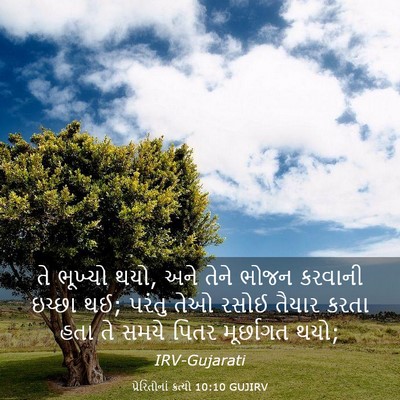 Picture 03 - પ્રેરિતોનાં ક્રત્યો 10:10 GUJIRV - તે ભૂખ્યો થયો, અને - Bible Verse Picture