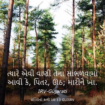 Picture 03 - પ્રેરિતોનાં ક્રત્યો 10:13 GUJIRV - ત્યારે એવી વાણી - Bible Verse Picture
