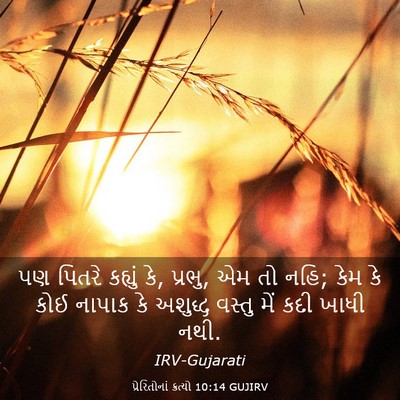 Picture 03 - પ્રેરિતોનાં ક્રત્યો 10:14 GUJIRV - પણ પિતરે કહ્યું કે, - Bible Verse Picture