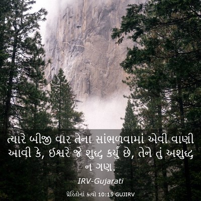 Picture 03 - પ્રેરિતોનાં ક્રત્યો 10:15 GUJIRV - ત્યારે બીજી વાર - Bible Verse Picture