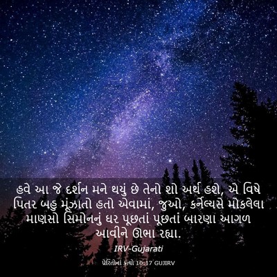 Picture 03 - પ્રેરિતોનાં ક્રત્યો 10:17 GUJIRV - હવે આ જે દર્શન મને - Bible Verse Picture