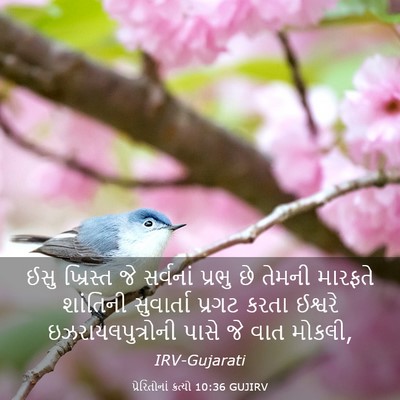 Picture 03 - પ્રેરિતોનાં ક્રત્યો 10:36 GUJIRV - ઈસુ ખ્રિસ્ત જે - Bible Verse Picture
