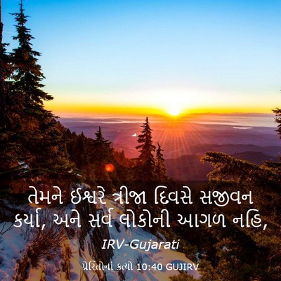 Picture 03 - પ્રેરિતોનાં ક્રત્યો 10:40 GUJIRV - તેમને ઈશ્વરે - Bible Verse Picture