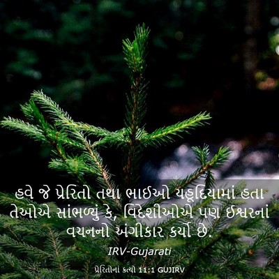 Picture 03 - પ્રેરિતોનાં ક્રત્યો 11:1 GUJIRV - હવે જે પ્રેરિતો - Bible Verse Picture