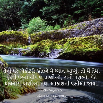 Picture 03 - પ્રેરિતોનાં ક્રત્યો 11:6 GUJIRV - તેના પર એકીટસે - Bible Verse Picture