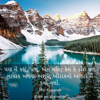 Picture 03 - પ્રેરિતોનાં ક્રત્યો 11:8 GUJIRV - પણ મેં કહ્યું, - Bible Verse Picture