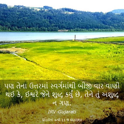 Picture 03 - પ્રેરિતોનાં ક્રત્યો 11:9 GUJIRV - પણ તેના ઉત્તરમાં - Bible Verse Picture