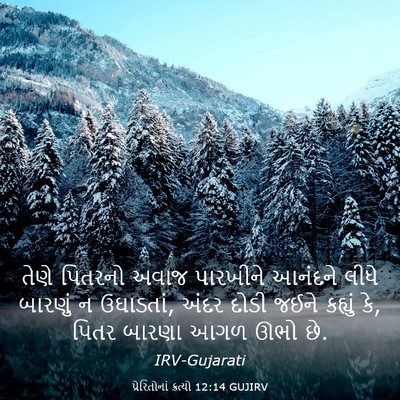 Picture 03 - પ્રેરિતોનાં ક્રત્યો 12:14 GUJIRV - તેણે પિતરનો અવાજ - Bible Verse Picture