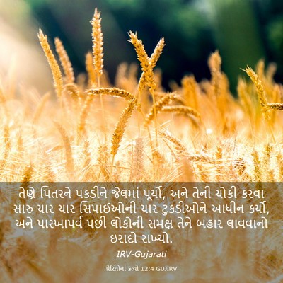 Picture 03 - પ્રેરિતોનાં ક્રત્યો 12:4 GUJIRV - તેણે પિતરને - Bible Verse Picture