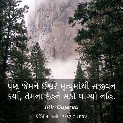 Picture 03 - પ્રેરિતોનાં ક્રત્યો 13:37 GUJIRV - પણ જેમને ઈશ્વરે - Bible Verse Picture