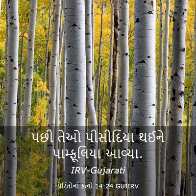 Picture 03 - પ્રેરિતોનાં ક્રત્યો 14:24 GUJIRV - પછી તેઓ પીસીદિયા - Bible Verse Picture