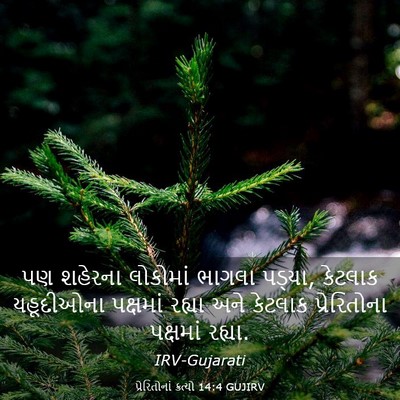 Picture 03 - પ્રેરિતોનાં ક્રત્યો 14:4 GUJIRV - પણ શહેરના લોકોમાં - Bible Verse Picture