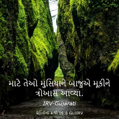 Picture 03 - પ્રેરિતોનાં ક્રત્યો 16:8 GUJIRV - માટે તેઓ મુસિયાને - Bible Verse Picture