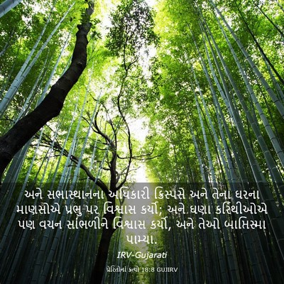 Picture 03 - પ્રેરિતોનાં ક્રત્યો 18:8 GUJIRV - અને સભાસ્થાનના - Bible Verse Picture
