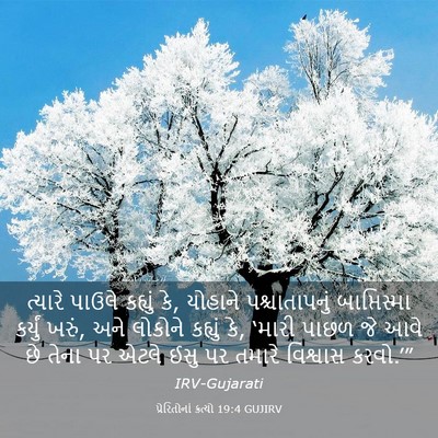 Picture 03 - પ્રેરિતોનાં ક્રત્યો 19:4 GUJIRV - ત્યારે પાઉલે - Bible Verse Picture