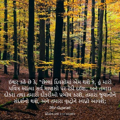 Picture 03 - પ્રેરિતોનાં ક્રત્યો 2:17 GUJIRV - ઈશ્વર કહે છે કે, - Bible Verse Picture