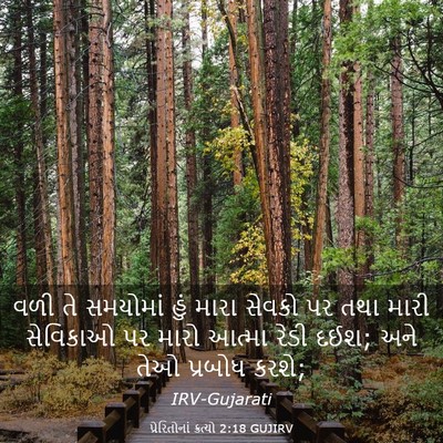 Picture 03 - પ્રેરિતોનાં ક્રત્યો 2:18 GUJIRV - વળી તે સમયોમાં હું - Bible Verse Picture