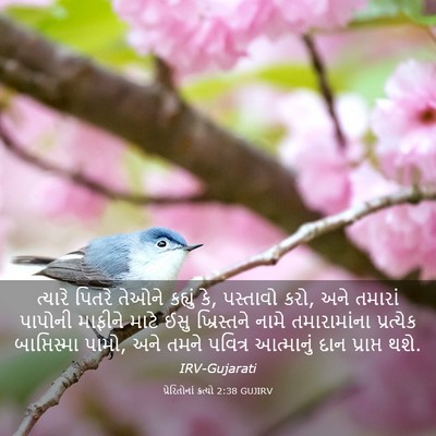 Picture 03 - પ્રેરિતોનાં ક્રત્યો 2:38 GUJIRV - ત્યારે પિતરે - Bible Verse Picture