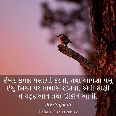 Picture 03 - પ્રેરિતોનાં ક્રત્યો 20:21 GUJIRV - ઈશ્વર સમક્ષ - Bible Verse Picture