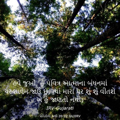 Picture 03 - પ્રેરિતોનાં ક્રત્યો 20:22 GUJIRV - હવે જુઓ, હું પવિત્ર - Bible Verse Picture