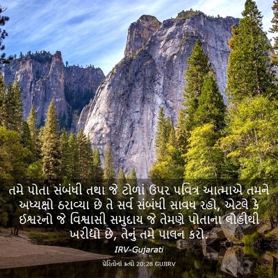 Picture 03 - પ્રેરિતોનાં ક્રત્યો 20:28 GUJIRV - તમે પોતા સંબંધી - Bible Verse Picture