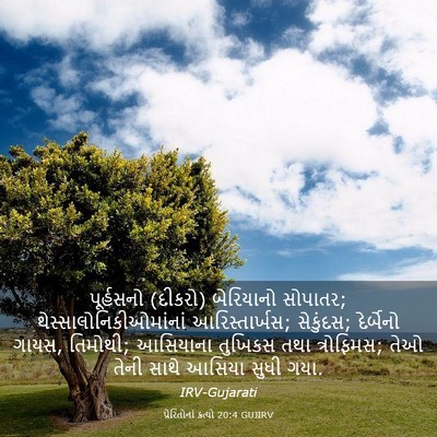 Picture 03 - પ્રેરિતોનાં ક્રત્યો 20:4 GUJIRV - પૂર્હસનો (દીકરો) - Bible Verse Picture