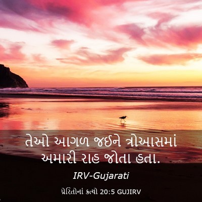 Picture 03 - પ્રેરિતોનાં ક્રત્યો 20:5 GUJIRV - તેઓ આગળ જઈને - Bible Verse Picture