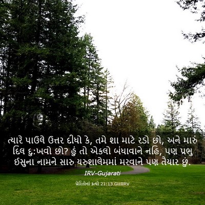 Picture 03 - પ્રેરિતોનાં ક્રત્યો 21:13 GUJIRV - ત્યારે પાઉલે - Bible Verse Picture