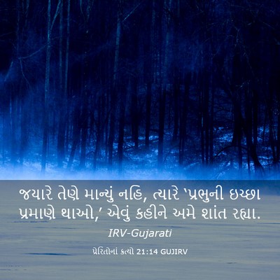 Picture 03 - પ્રેરિતોનાં ક્રત્યો 21:14 GUJIRV - જયારે તેણે - Bible Verse Picture