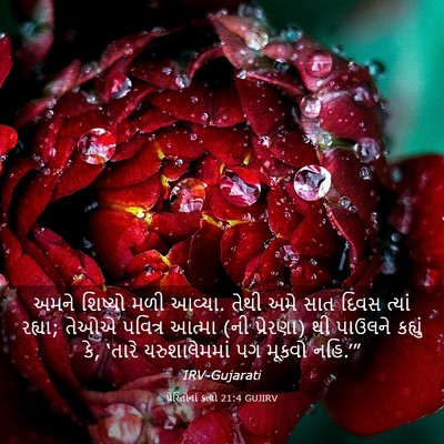 Picture 03 - પ્રેરિતોનાં ક્રત્યો 21:4 GUJIRV - અમને શિષ્યો મળી - Bible Verse Picture