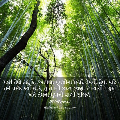 Picture 03 - પ્રેરિતોનાં ક્રત્યો 22:14 GUJIRV - પછી તેણે કહ્યું કે, - Bible Verse Picture