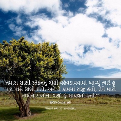 Picture 03 - પ્રેરિતોનાં ક્રત્યો 22:20 GUJIRV - તમારા સાક્ષી - Bible Verse Picture