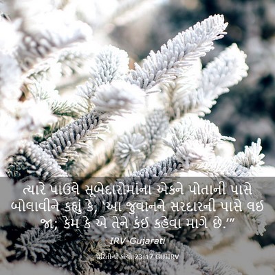 Picture 03 - પ્રેરિતોનાં ક્રત્યો 23:17 GUJIRV - ત્યારે પાઉલે - Bible Verse Picture