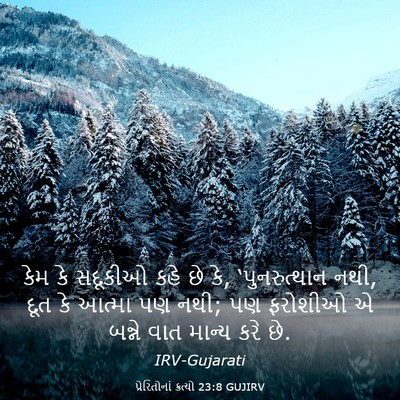 Picture 03 - પ્રેરિતોનાં ક્રત્યો 23:8 GUJIRV - કેમ કે સદૂકીઓ કહે - Bible Verse Picture