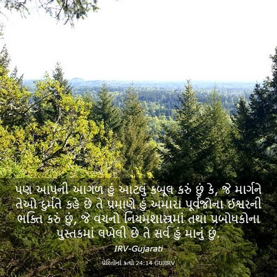Picture 03 - પ્રેરિતોનાં ક્રત્યો 24:14 GUJIRV - પણ આપની આગળ હું - Bible Verse Picture