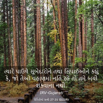 Picture 03 - પ્રેરિતોનાં ક્રત્યો 27:31 GUJIRV - ત્યારે પાઉલે - Bible Verse Picture