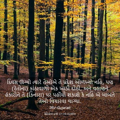 Picture 03 - પ્રેરિતોનાં ક્રત્યો 27:39 GUJIRV - દિવસ ઊગ્યો ત્યારે - Bible Verse Picture