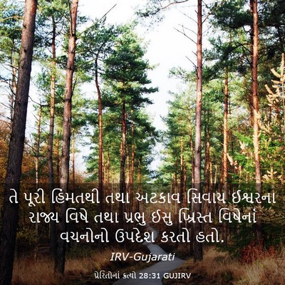 Picture 03 - પ્રેરિતોનાં ક્રત્યો 28:31 GUJIRV - તે પૂરી હિંમતથી - Bible Verse Picture