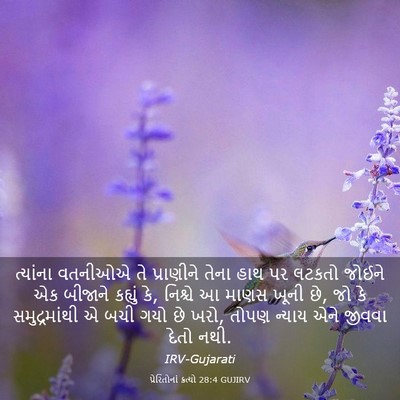 Picture 03 - પ્રેરિતોનાં ક્રત્યો 28:4 GUJIRV - ત્યાંના વતનીઓએ તે - Bible Verse Picture