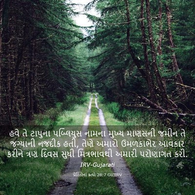 Picture 03 - પ્રેરિતોનાં ક્રત્યો 28:7 GUJIRV - હવે તે ટાપુના - Bible Verse Picture