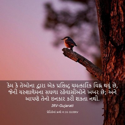Picture 03 - પ્રેરિતોનાં ક્રત્યો 4:16 GUJIRV - કેમ કે તેઓના - Bible Verse Picture